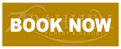 Zirahuén Forest & Resort logo